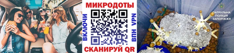 Псилоцибиновые грибы Psilocybine cubensis  закладки  Печоры 