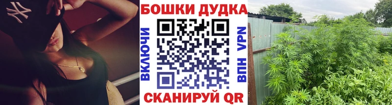 Бошки марихуана MAZAR  Печоры 